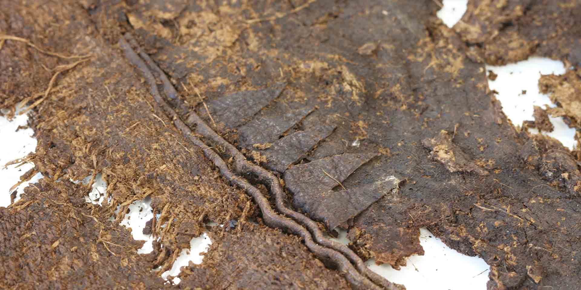 Close-up of preserved cut and woven cloth