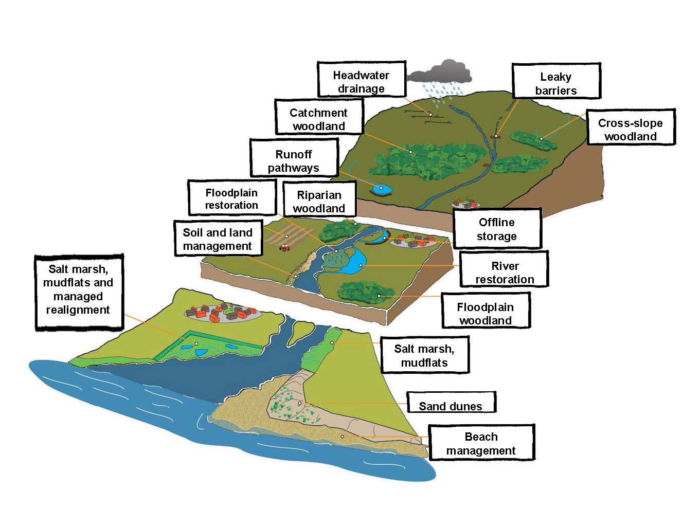 Diagram showing various natural flood management techniques through the landscape from upland to sea