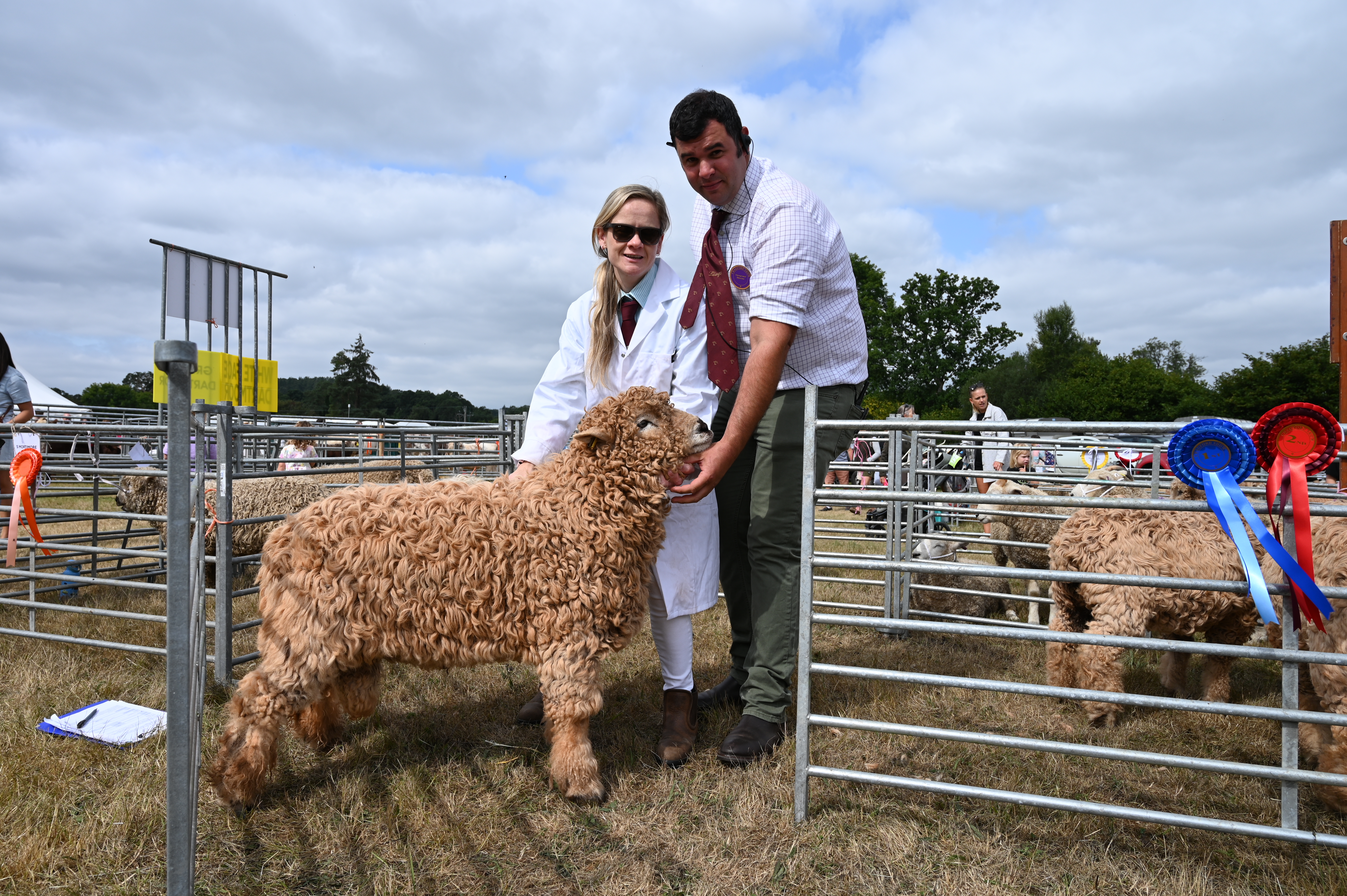 Man and lady stand with sheep at show