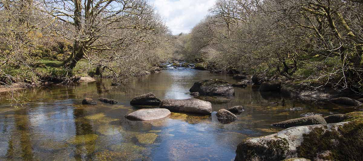 River with bare trees lining the banks on either side and granite boulders