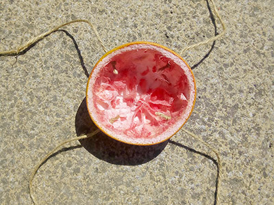 Scooped-out grapefruit with four pieces of string attached to it