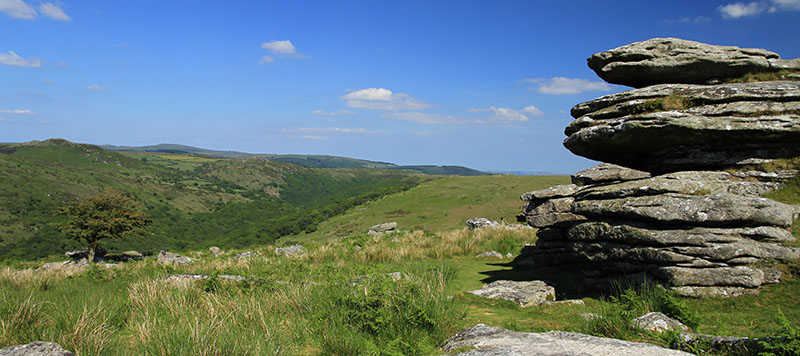 Combestone Tor view down the Dart Valley in summer