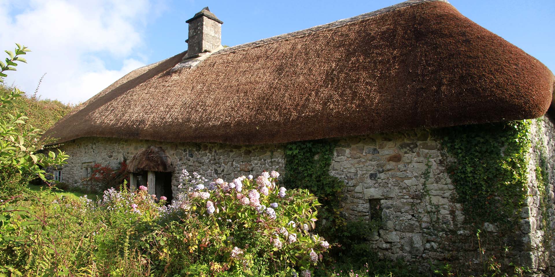 Higher Uppacott from garden