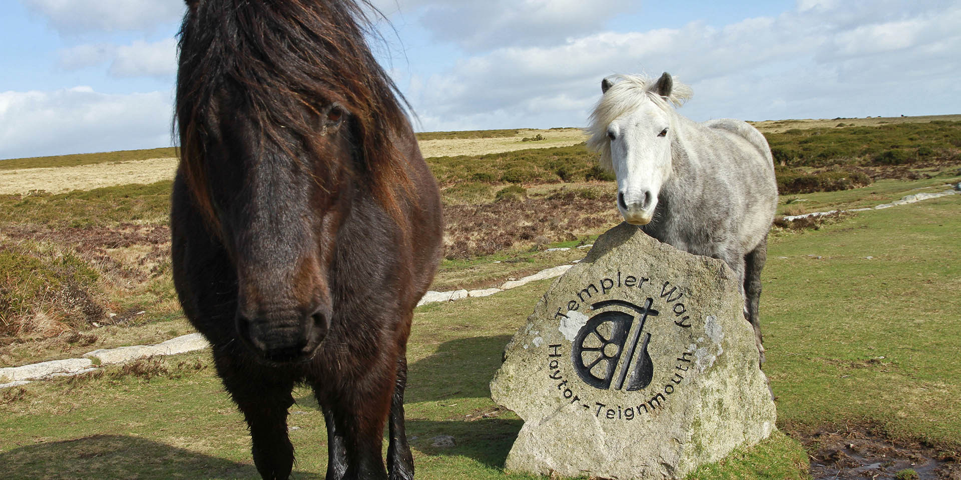 Ponies next to the Templer Way sign