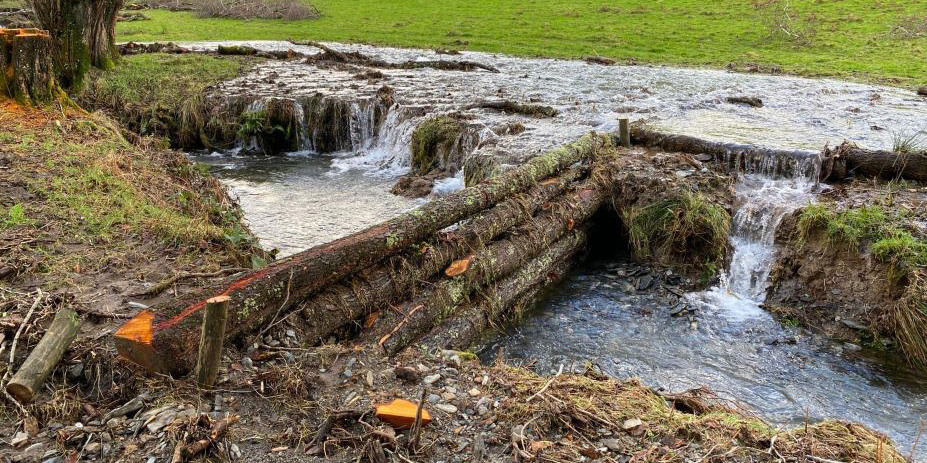 Leaky timber dams