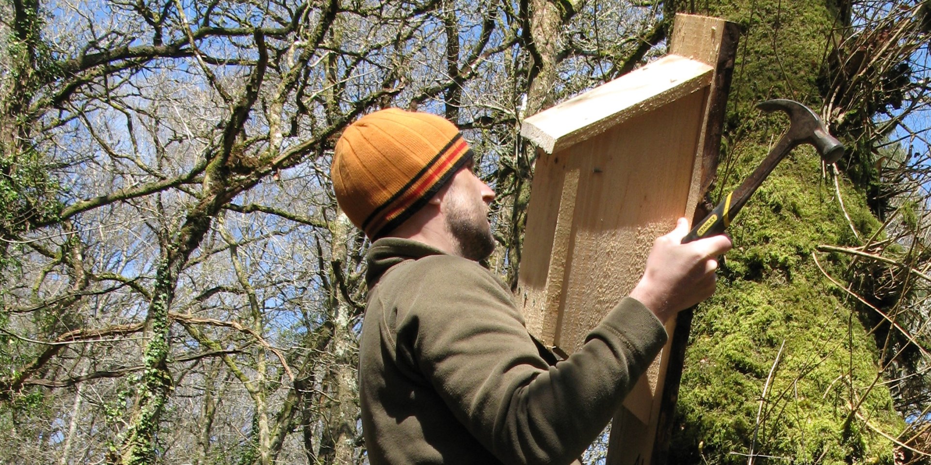 Siting a nest box