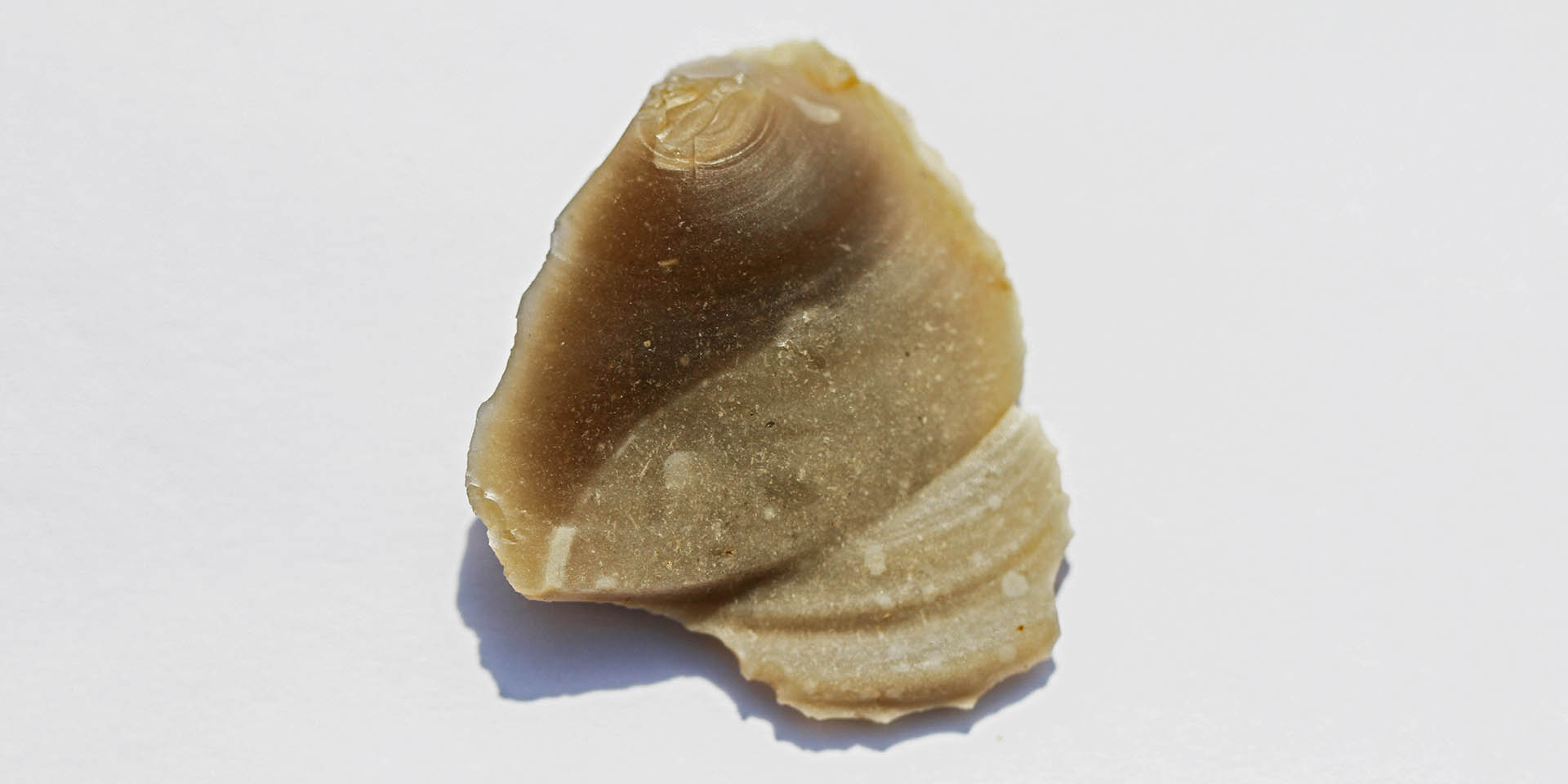 Close-up of bag flint