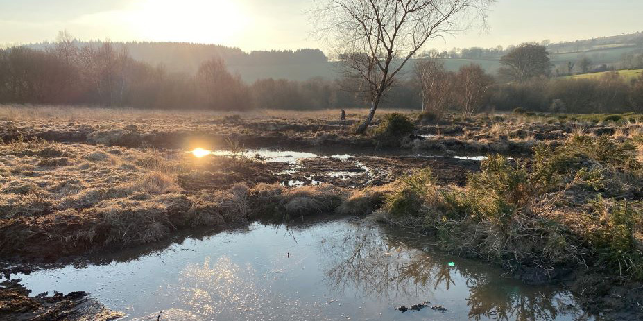 Rewetting Great Moor