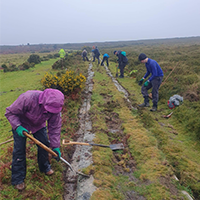 Group of people working on the tramway