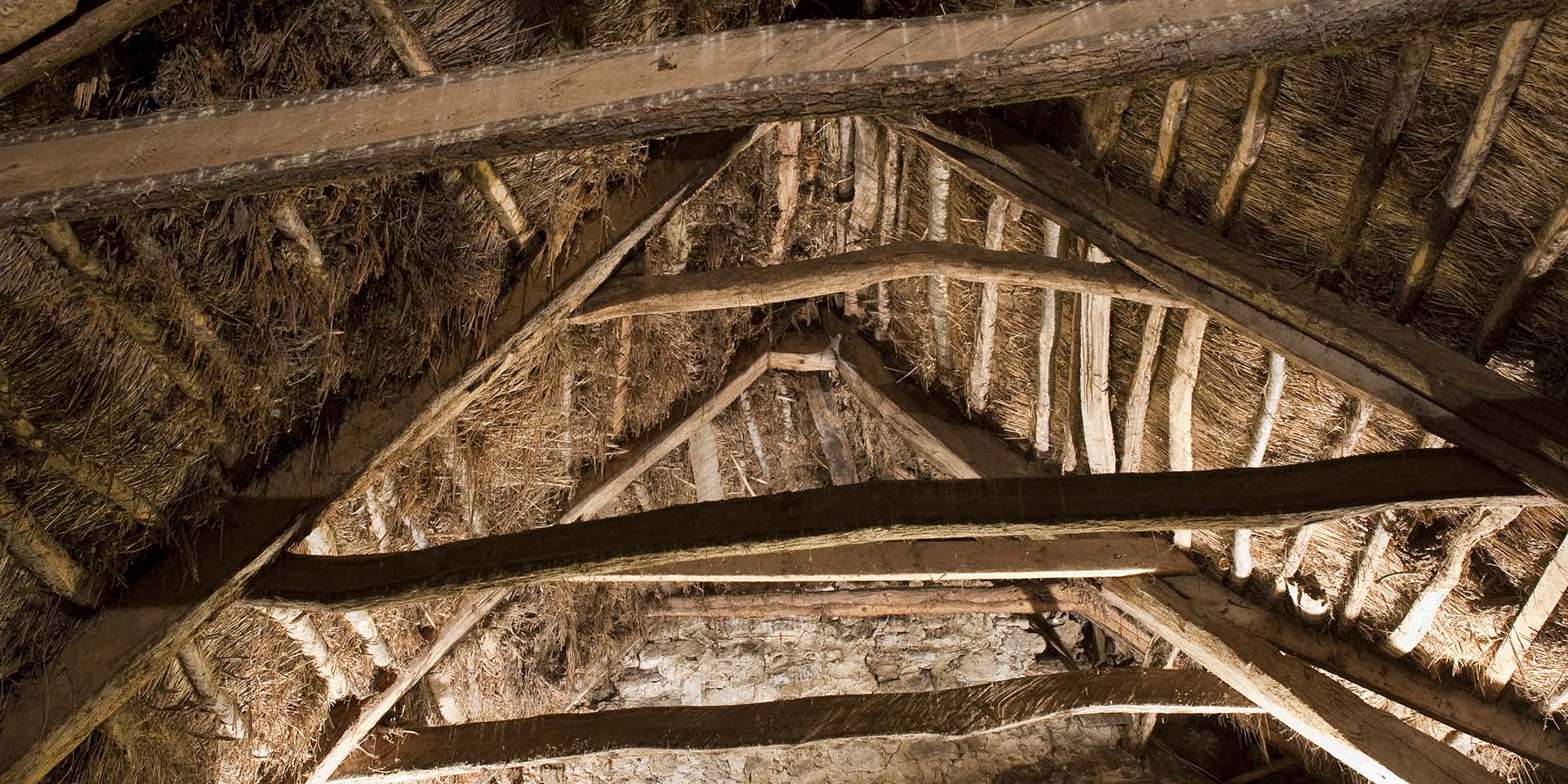 Thatched roof and beams from inside shippon