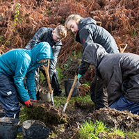 Youth Rangers Clearing Bracken