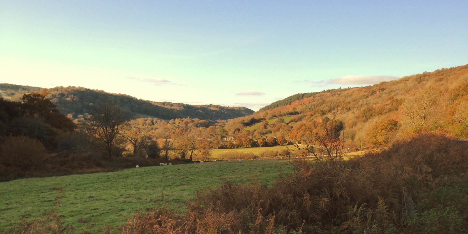 View of the Wray Valley looking from Bovey towards Lustleigh