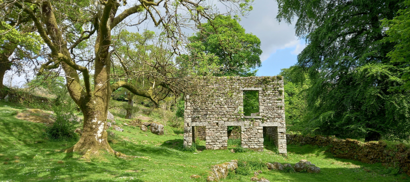 What is left of an old stone building stands on the grass on a bright day. 