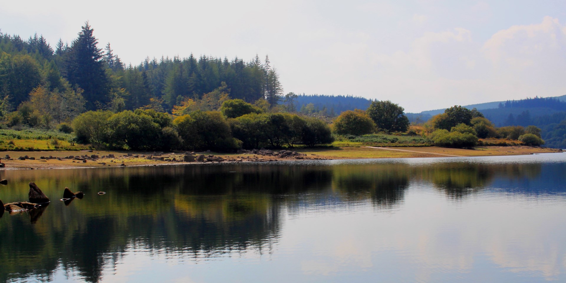 Lake view by Anne Parsons