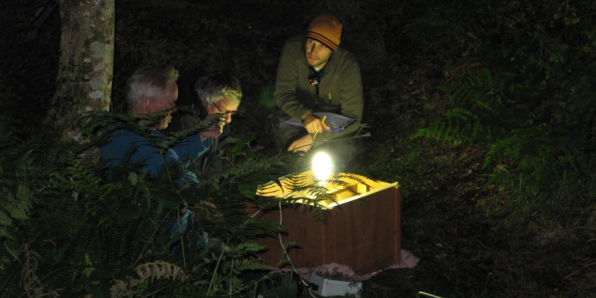 Night time research around the moth trap