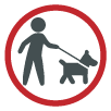 Dogs on leads