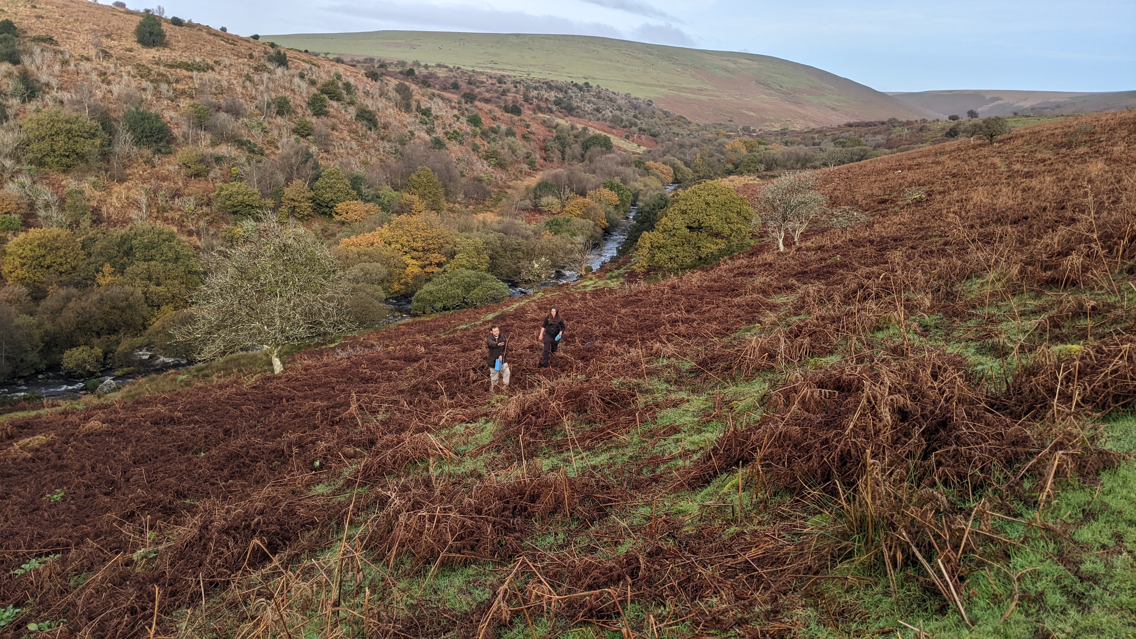 Two people in a wooded landscape on Dartmoor