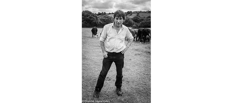 Farmer Bill in field of cows