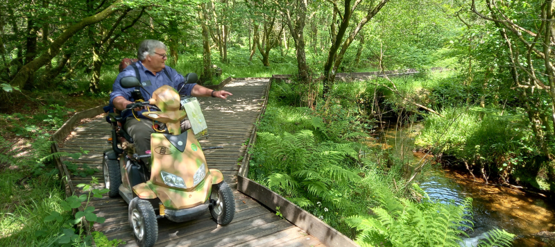 Man on tramper is on the boardwalk on a sunny day, he points towards the trees at something he can see. 