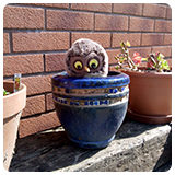 Owl puppet peaking out of a flower pot