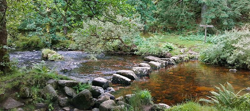 Large stepping stones over a river