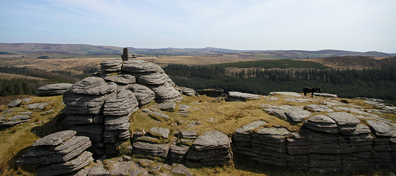 View from Bellever Tor and trig point