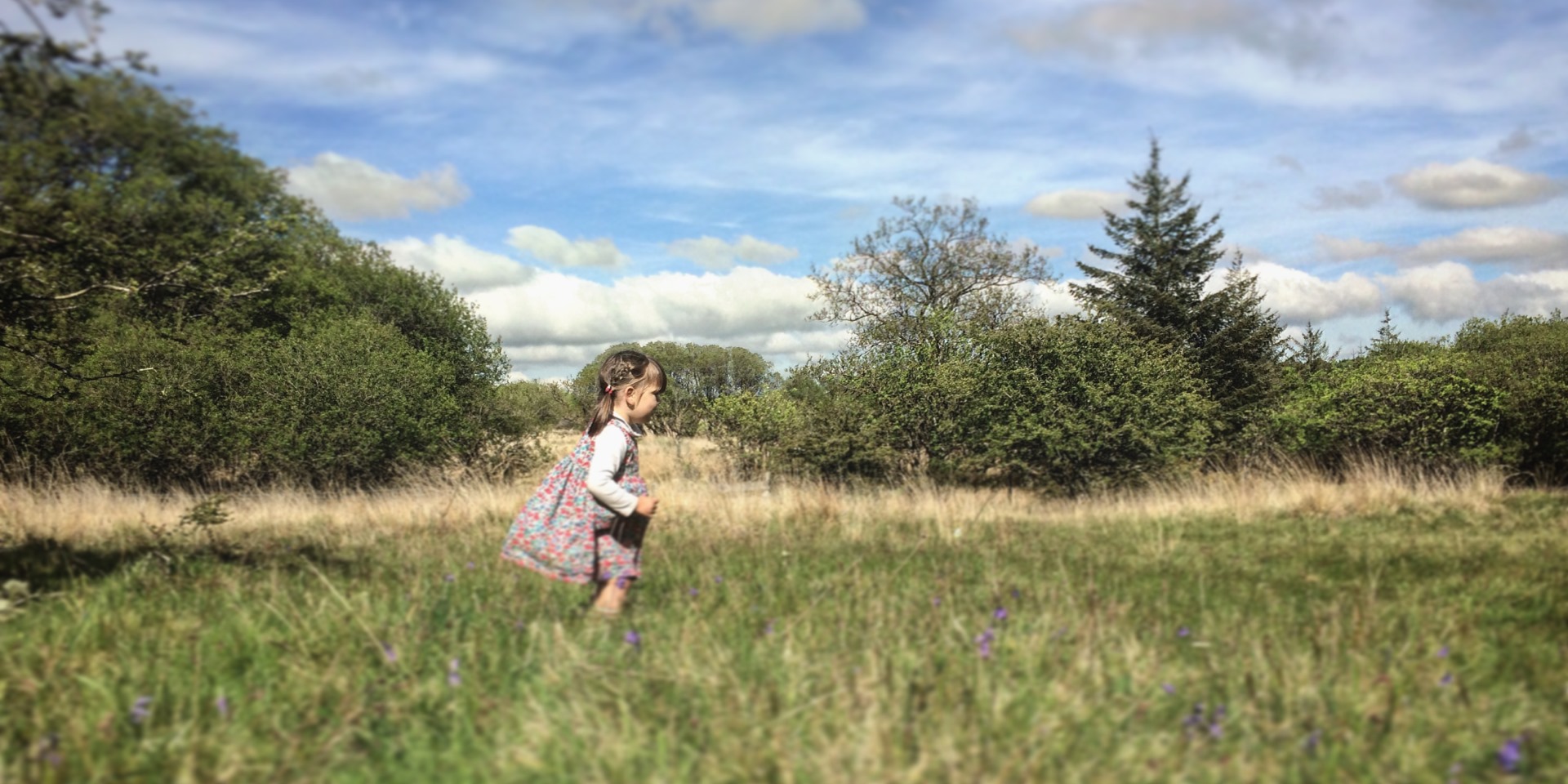 Girl wandering through meadow