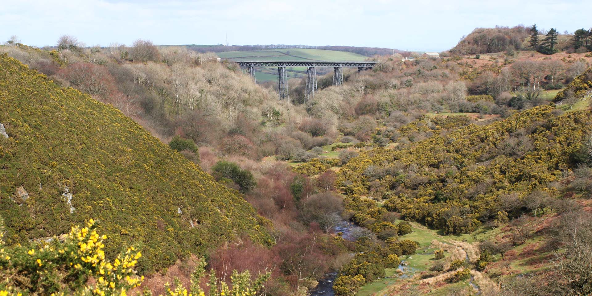 Meldon valley and viaduct