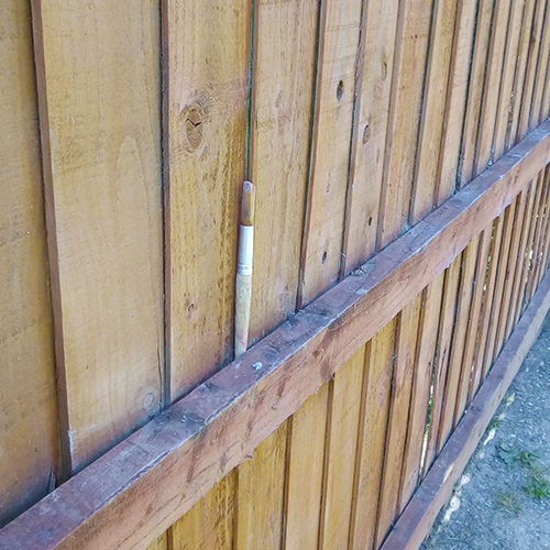 A paint brush on a garden fence