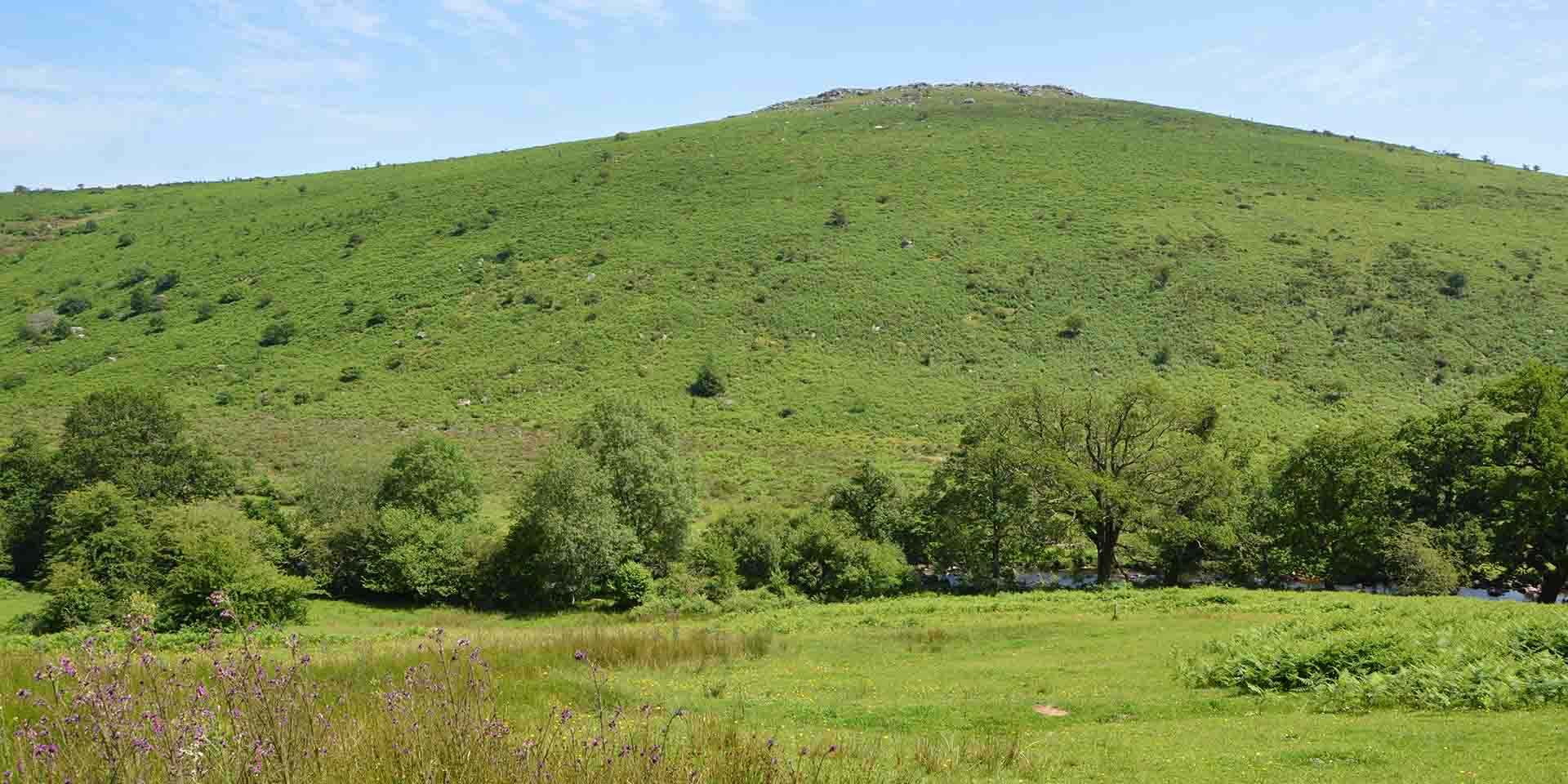 Field and river with Yar Tor in background