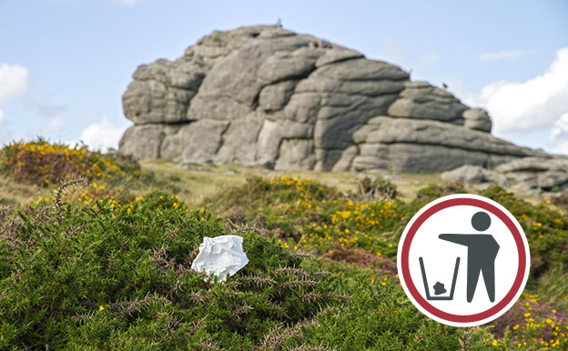 Piece of litter on gorse at Haytor rocks