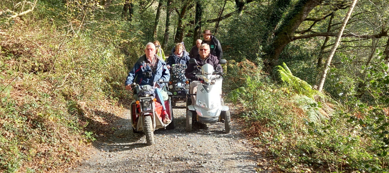 Three trampers and one walker on the path in Yarner Wood on a bright day. 