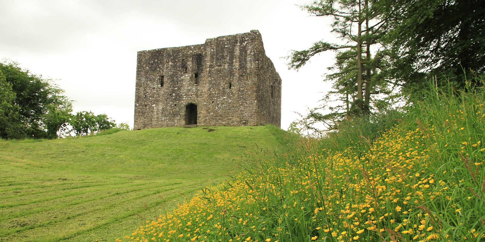 Lydford Castle in grounds