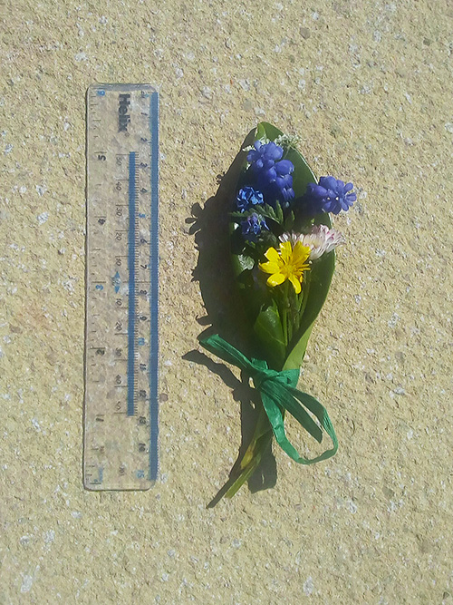 Tiny posy of flowers next to a 15cm ruler