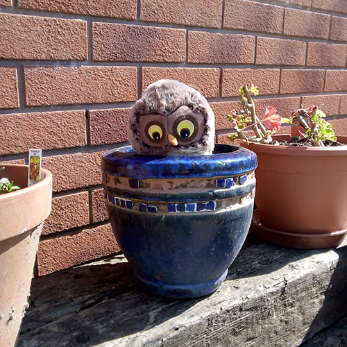 Owl puppet peaking out of a flower pot