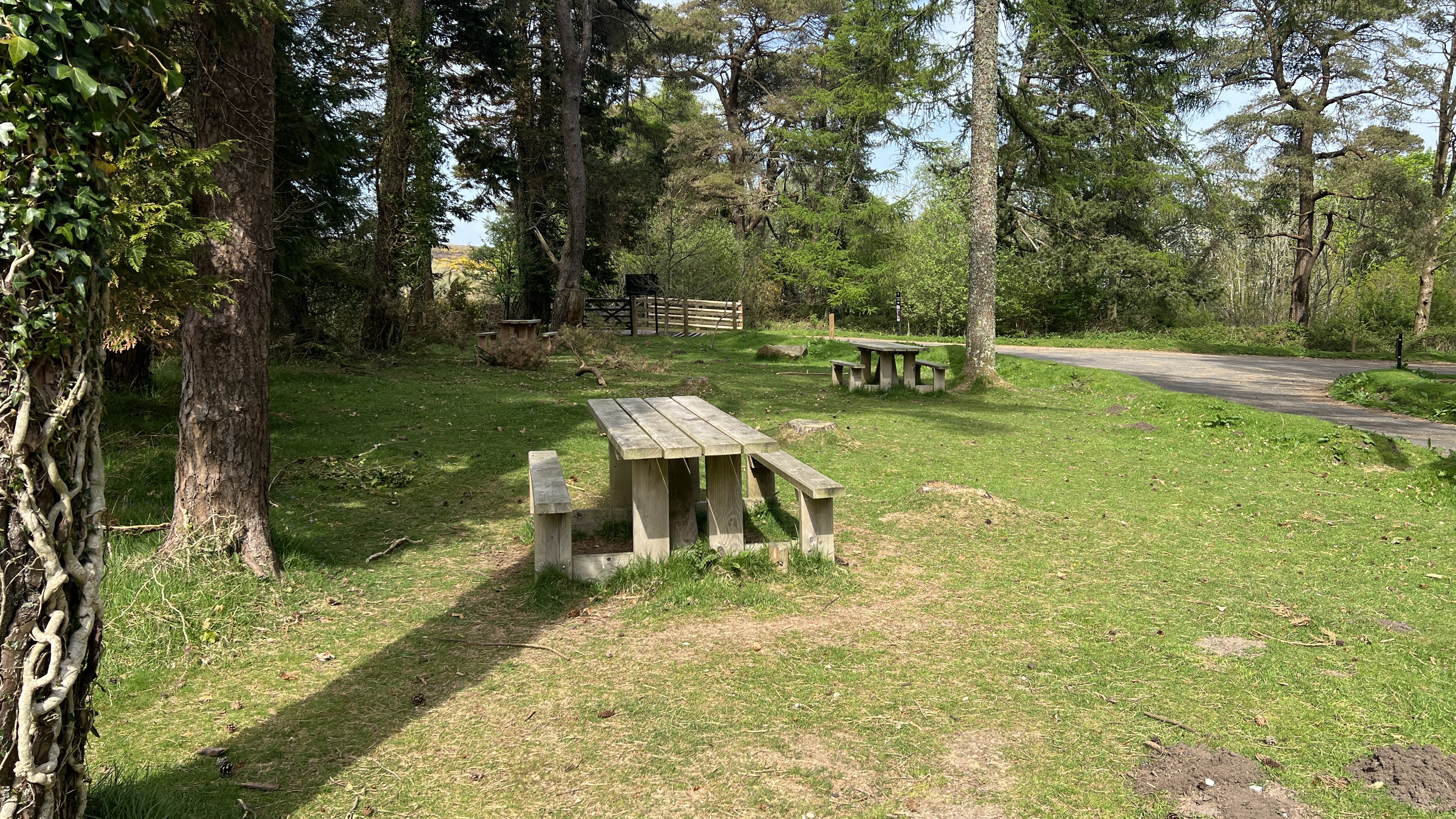 outside space with picnic benches
