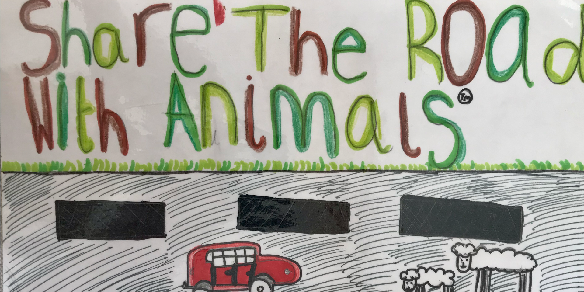 Share the roads with animals, drawing by children shows sheep and car on a road