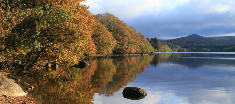 Trees and clouds are reflected in the still water on a bright day. 