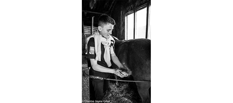 Boy brushing a horse