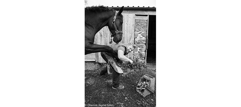 Farrier holding horse's hoof