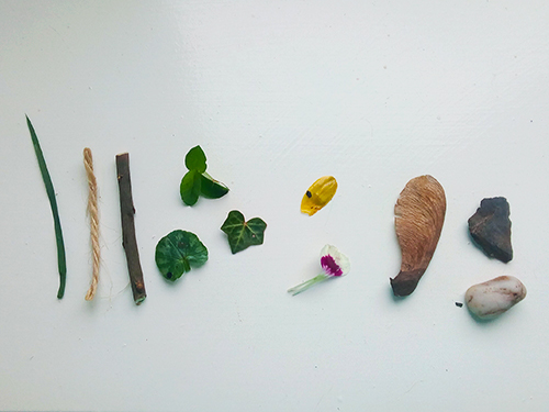 A blade of grass, string, twig, leaves, petals, a seed and some pebbles laid out