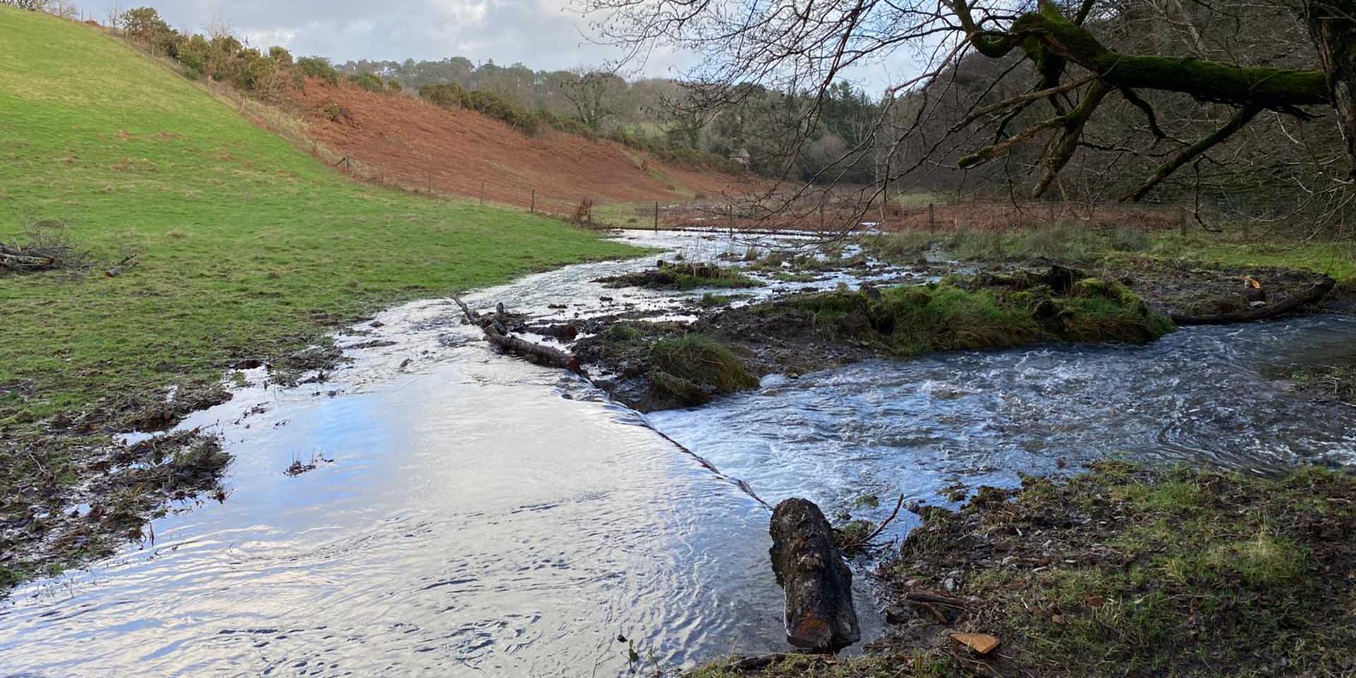 River water flowing out into floodplain