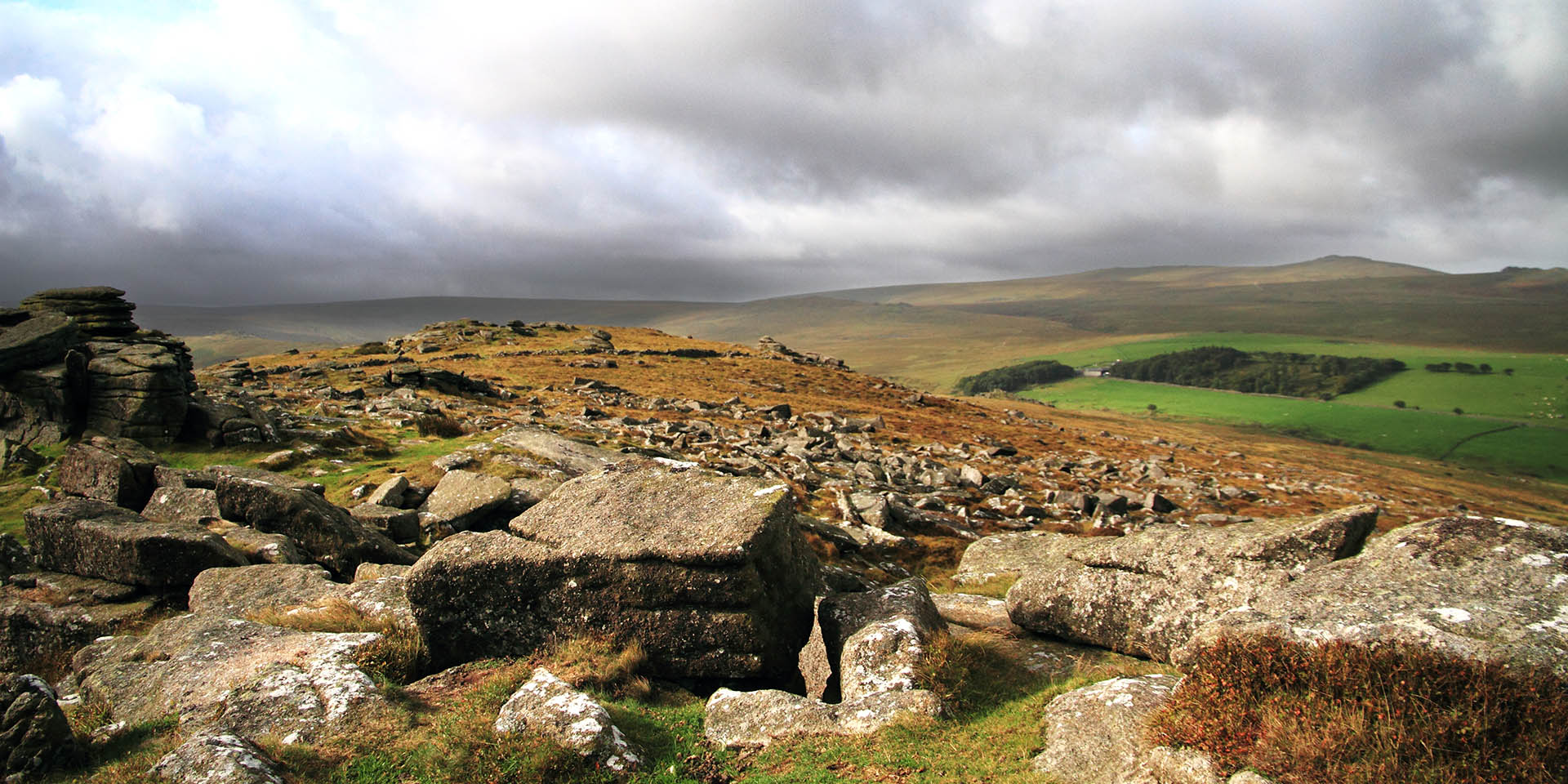 View over Bellever Ridge