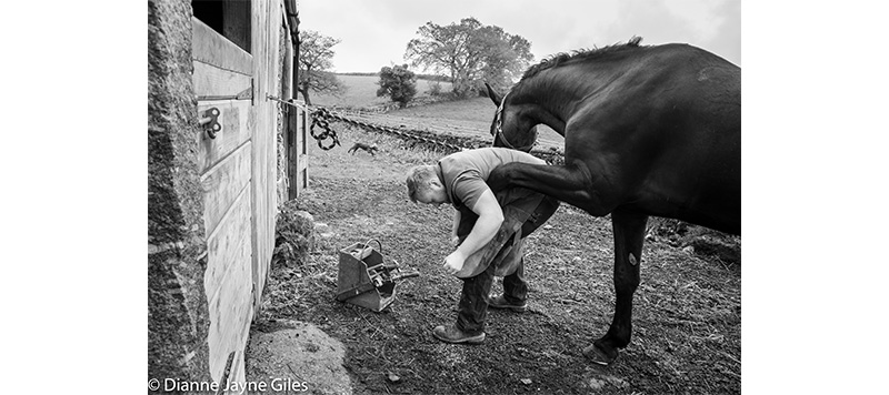 Farrier working on horse's hoof