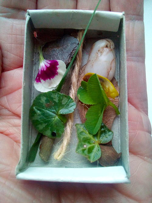 Grass, leaves, petals, pebbles and string in a matchbox