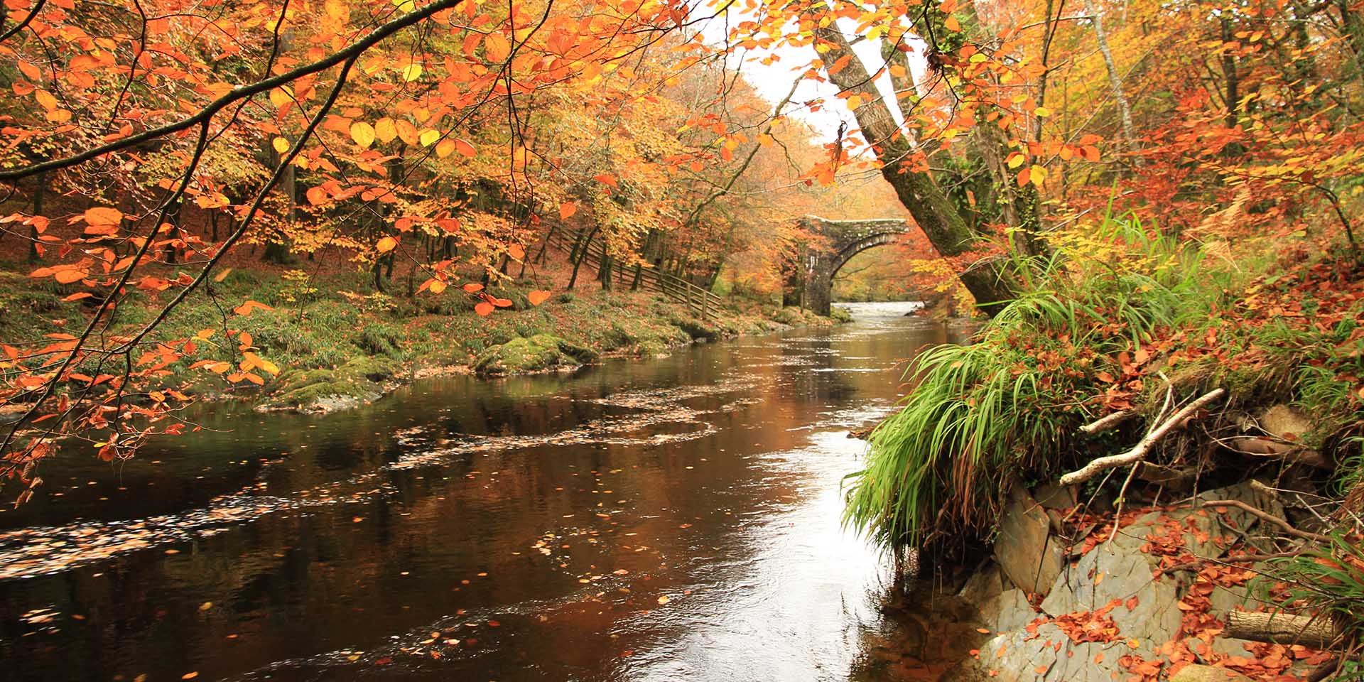 River Dart in autumn