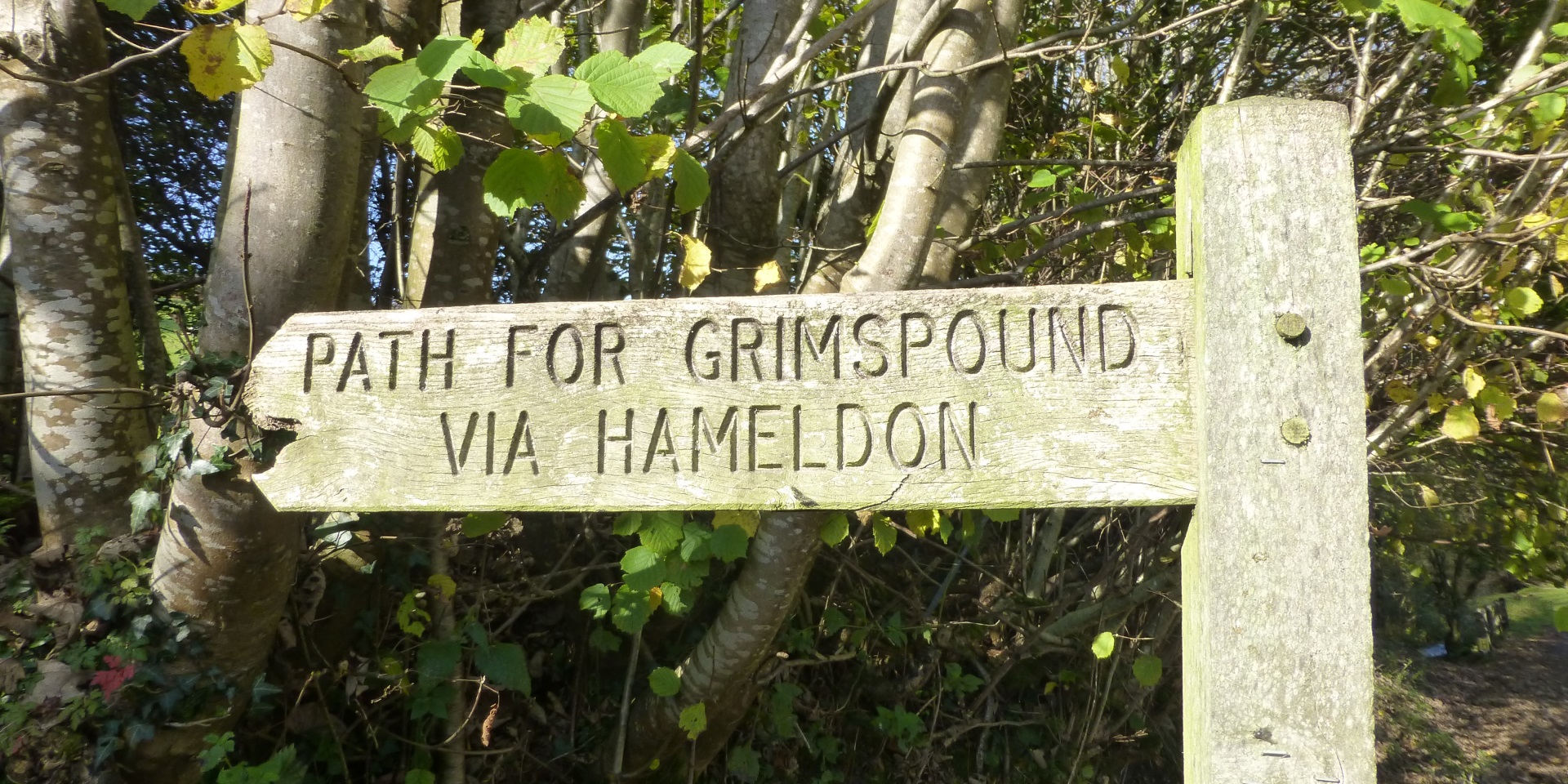 The walk up over Hameldon to Grimspound