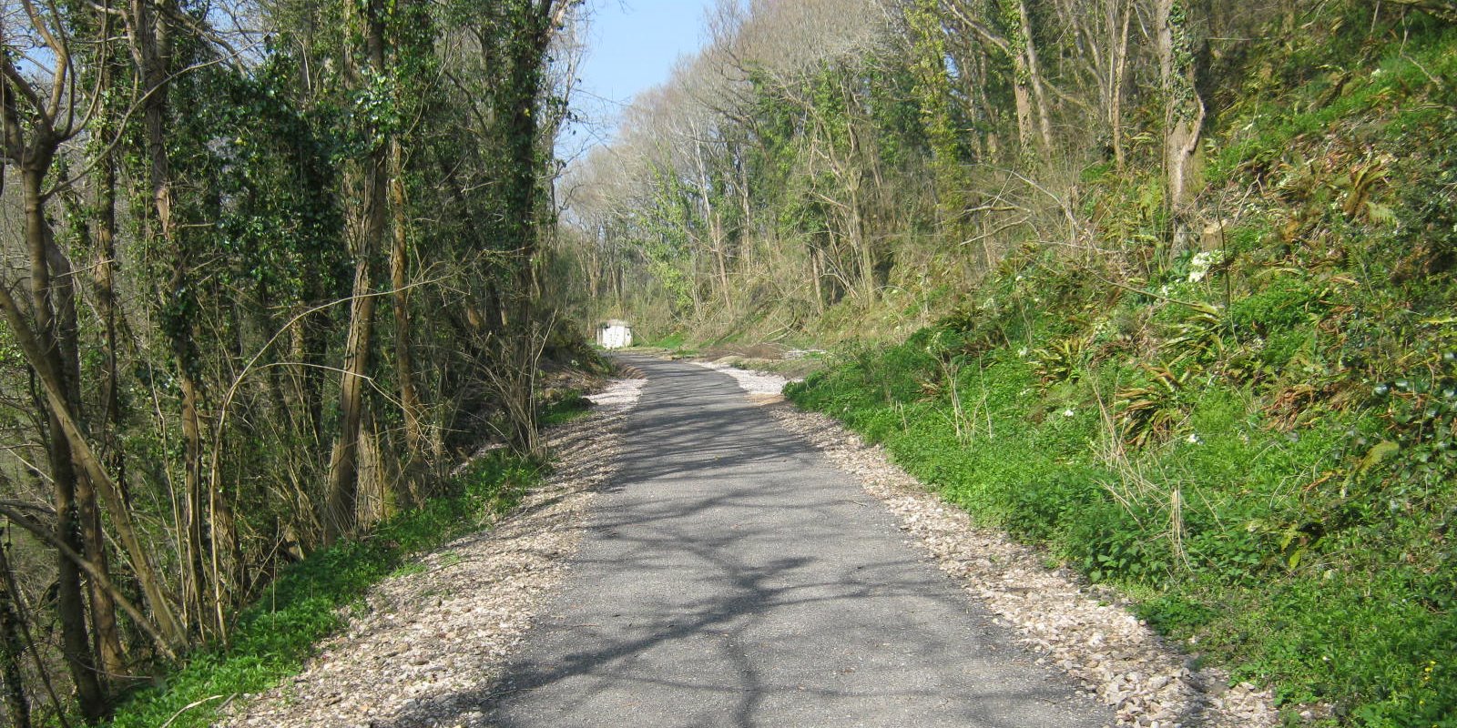 Part of the trail from Bovey to Lustleigh