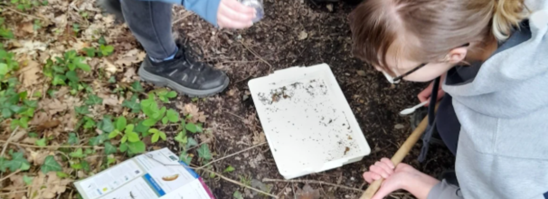 Group of children looking at things on the ground