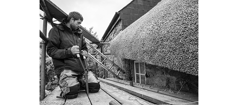 Thatcher Dave looking at handiwork